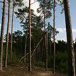 Bednarzowka Çiftlik konaklama Nowy Tomyśl