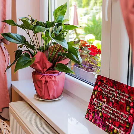 Bednarzowka Nowy Tomysl