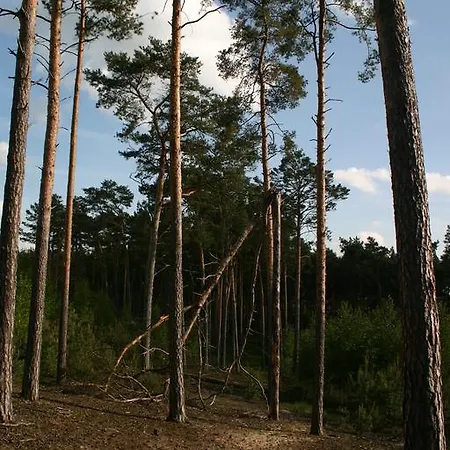 Bednarzowka Farm stay Nowy Tomysl