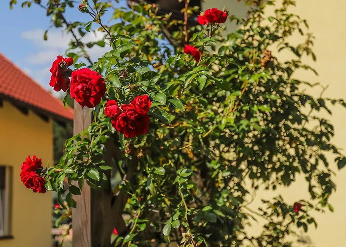 Bednarzowka Bauernhof Nowy Tomyśl