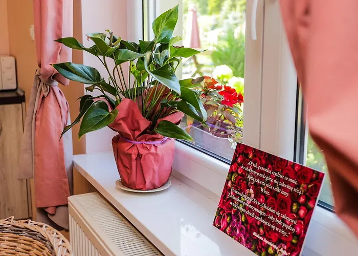 Bednarzowka Nowy Tomyśl