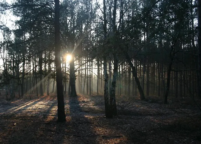 Bednarzowka Bauernhof