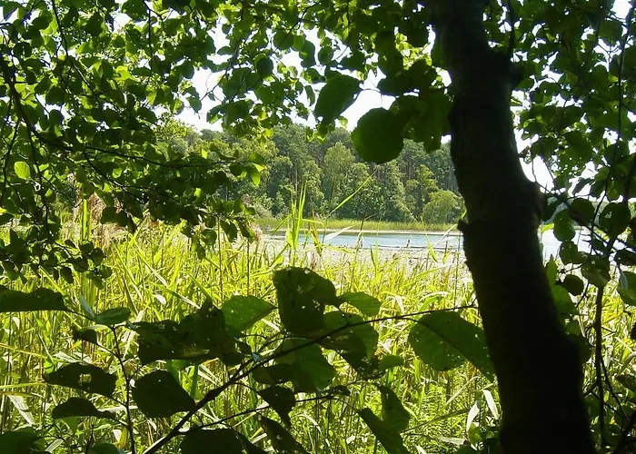 Bauernhof Bednarzowka *