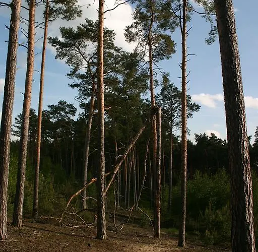 Bednarzowka Bauernhof Nowy Tomyśl